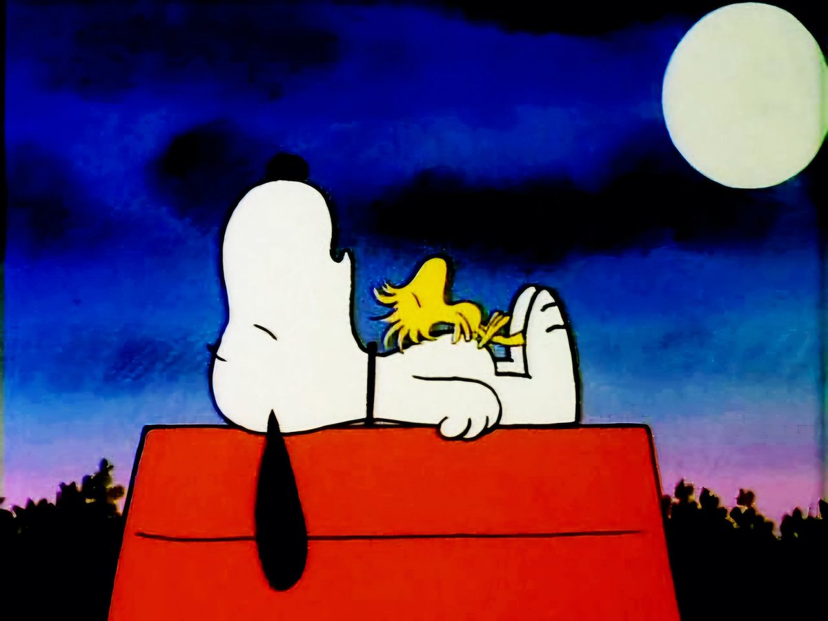 N8ti 💫 👋🏽👋🏽 🛸