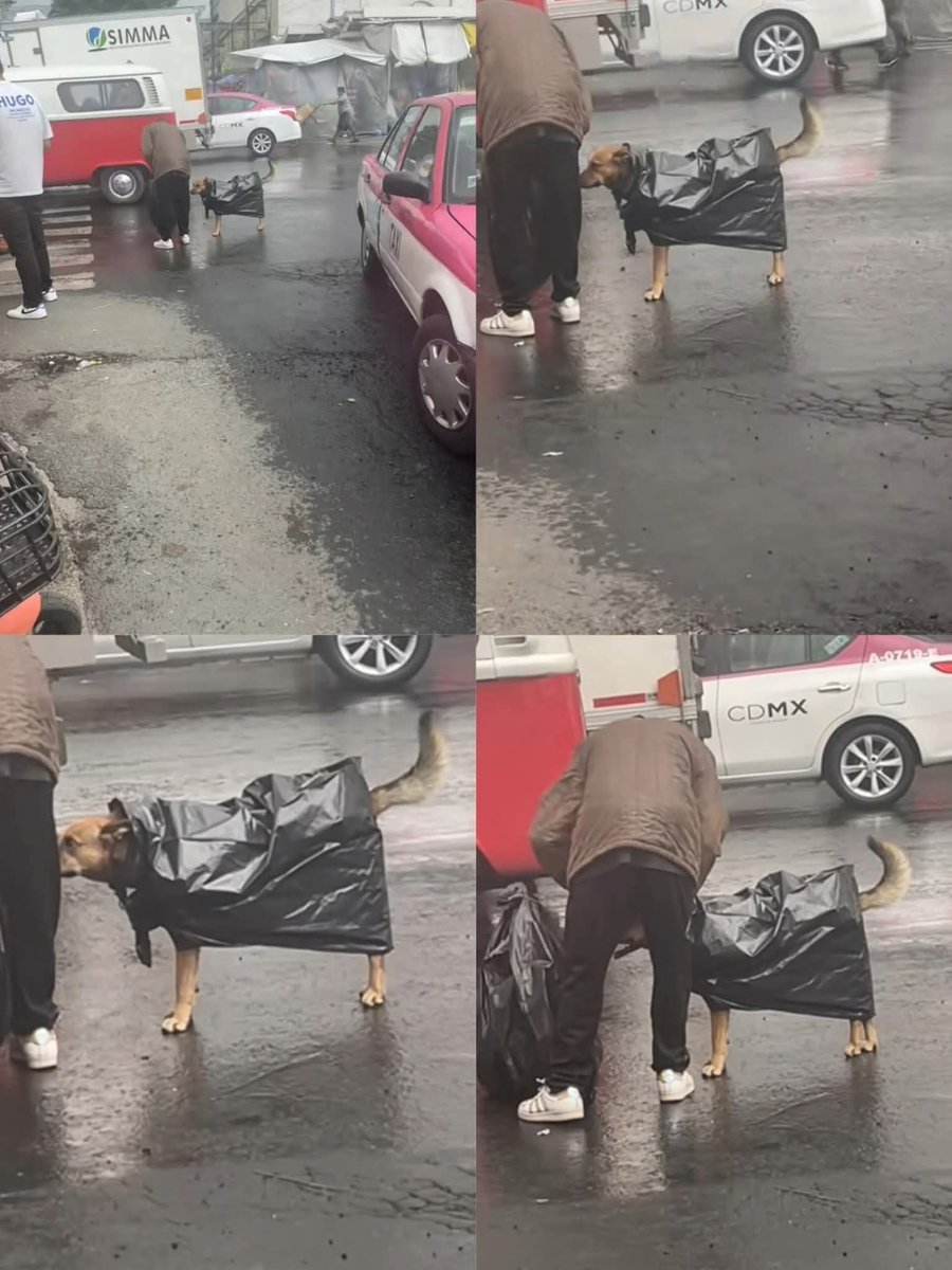 🥰 Te quiero mucho perrito que trae impermeable 

Un hombre sin hogar mostró gran corazón al proteger a su perrito de la lluvia intensa, usando una bolsa como impermeable para mantenerlo seco y abrigado.

#fblifestyle

El amor cuando es realmente del corazón.