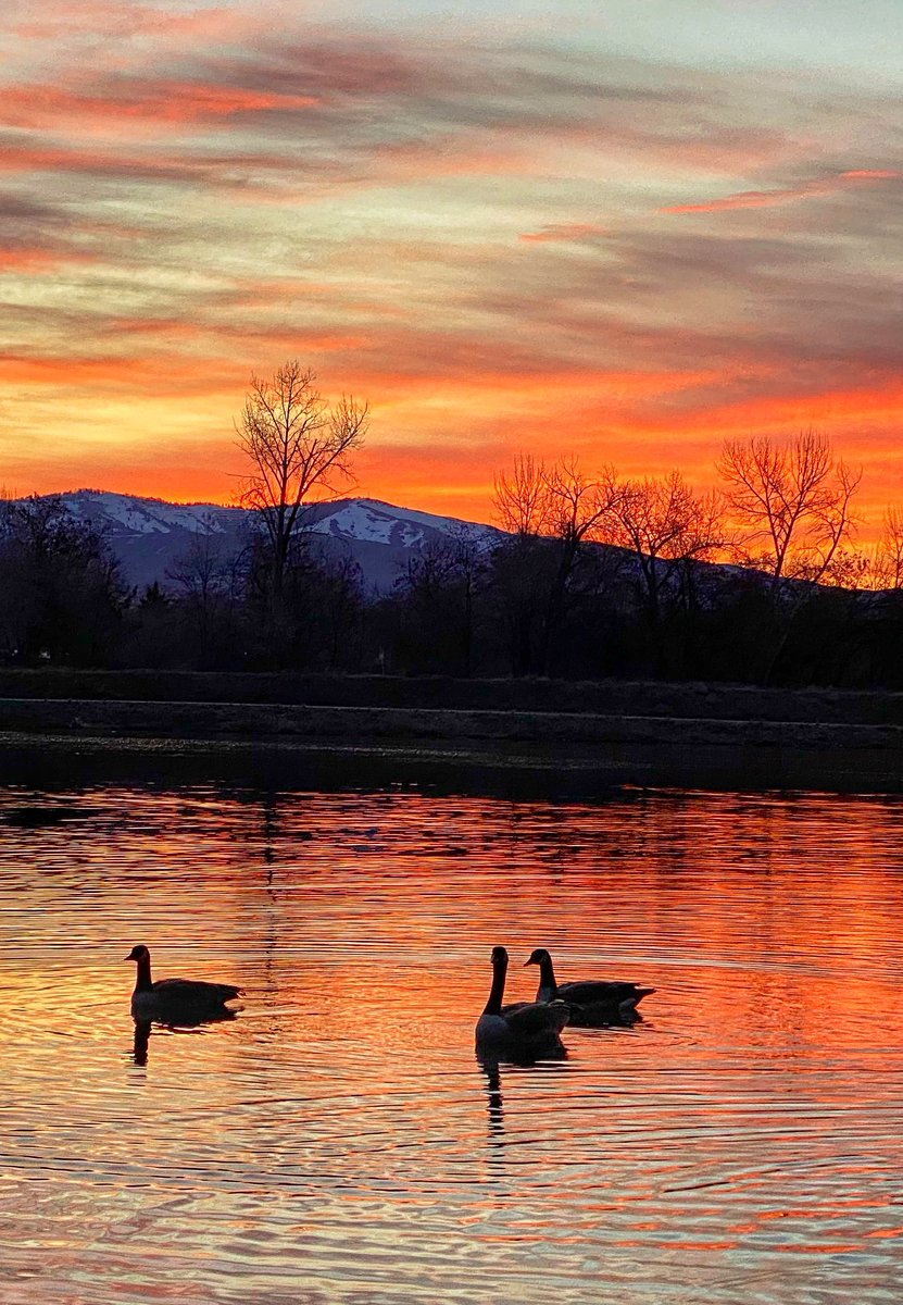 Photo challenge. It’s like a painting ! 🖼️🎨