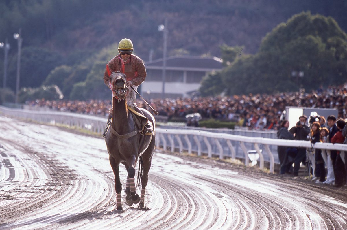 競走馬成績書22冊セット　地方競馬全国協会 競走馬成績書22冊セット 地方競馬全国協会