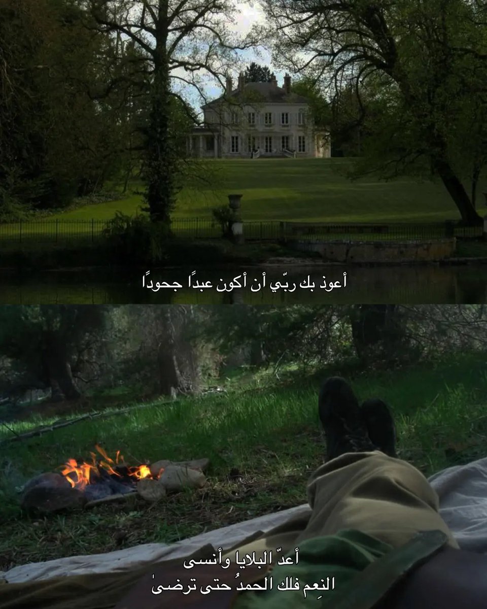 almsllim's tweet image. 