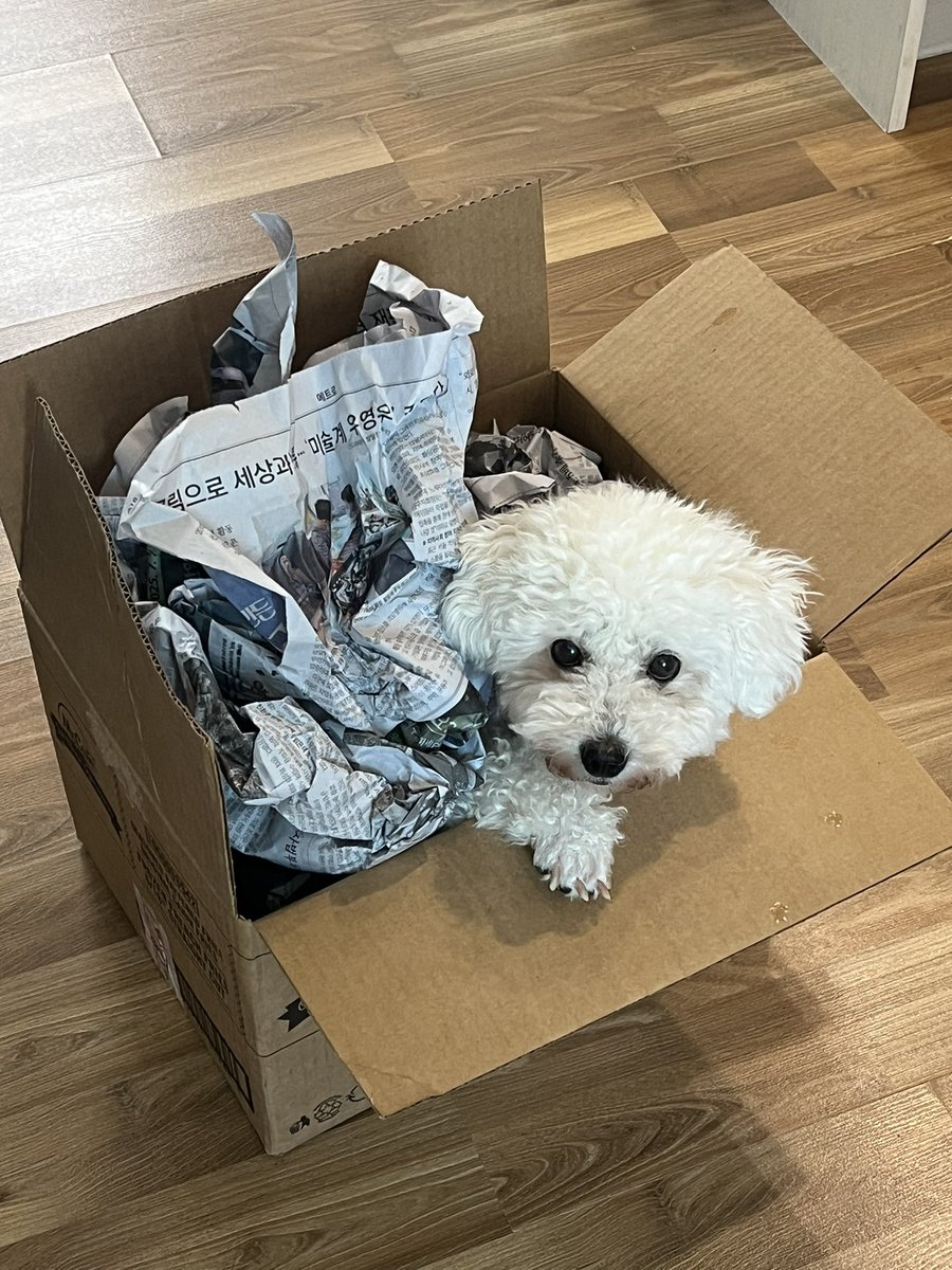 강쥐를 안고있으면 그 조그만 심장이 내 가슴을 톡, 톡, 톡, 두들긴다