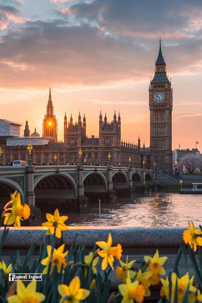 jones_ruby8023's tweet image. ENGLAND