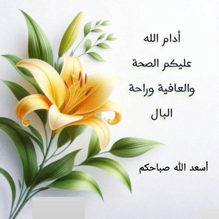 🫥 محمد الشهمي 🫥 (@maf0707) on Twitter photo 