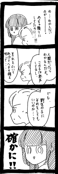 猫のお産に立ち会った話7 