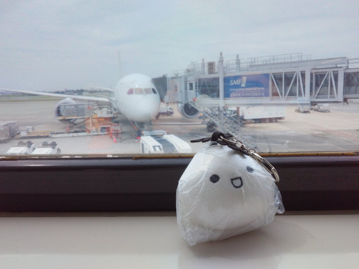 行くよー✈️

#オームくんといっしょ