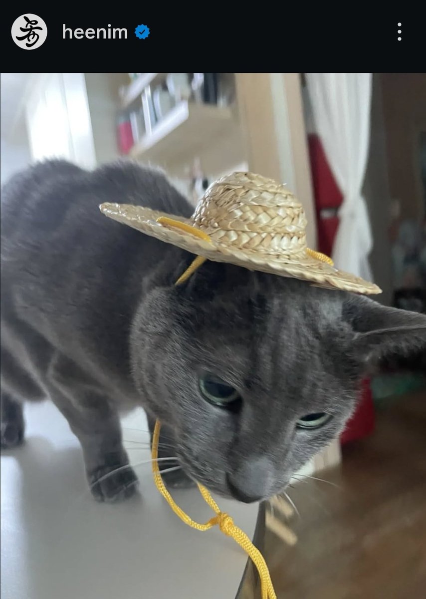 _jungsooheechul's tweet photo. Happy Birthday Heebumie 🥰🥰
please just healthy as your master, be happy as him too
love you kucing baik 🐈🐈
#HEEBUM #HEENIM https://t.co/GcpbRrkdkc
