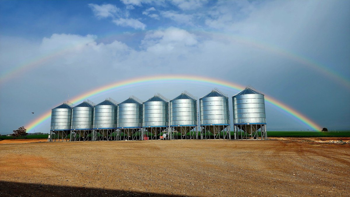 CorbinSchuster's tweet image. When your job is to turn rain into grain, this is a good sign 😀
