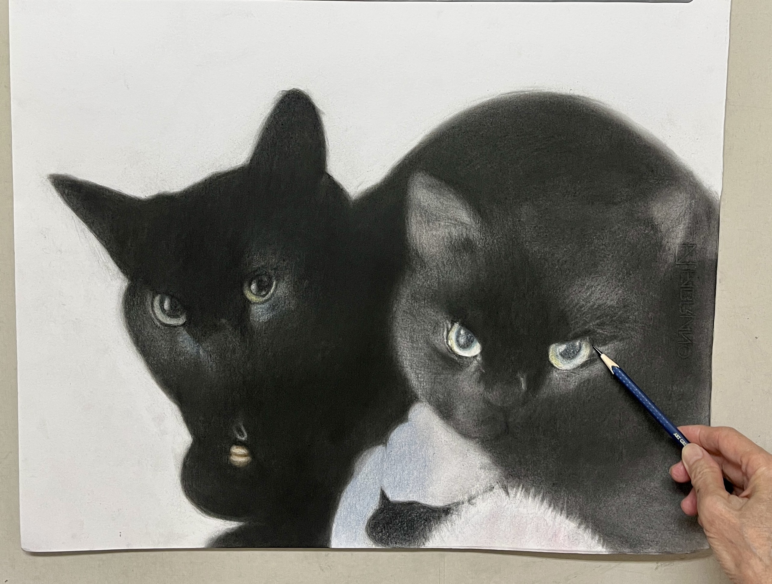 猫の絵描き　高橋行雄　仔猫　ミュウ　着払い 猫の絵描き 高橋行雄「アデ」