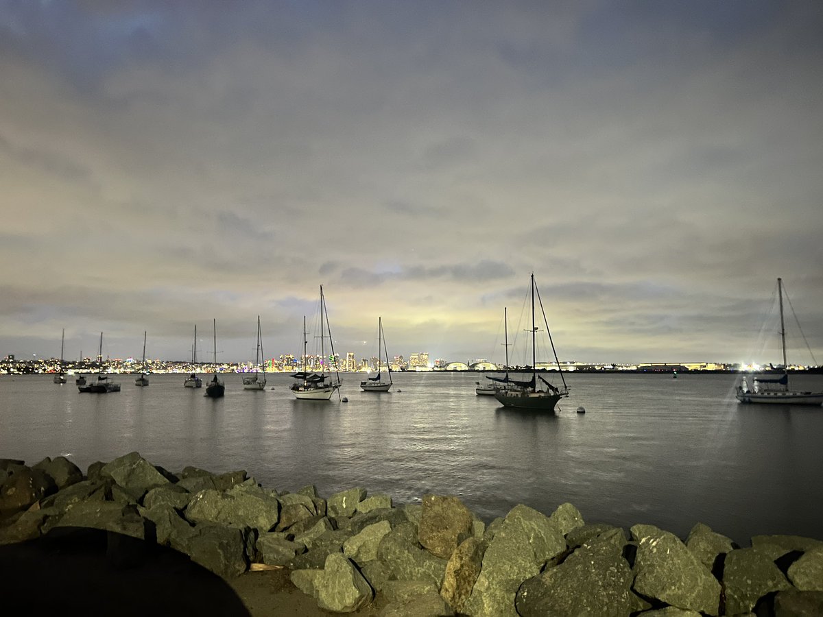 Rock Docs tweet media