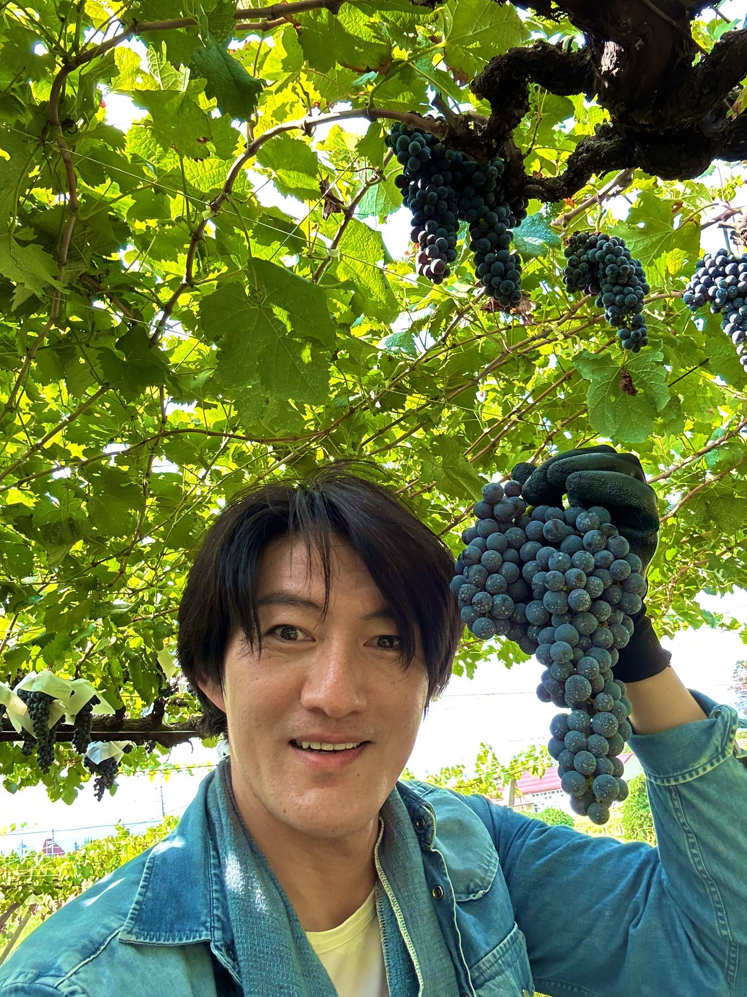 For You 宮原浩暢 feat Le Velvets CD3枚組 希少品