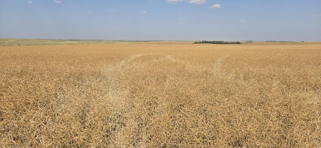 Rob Warkentin tweet media