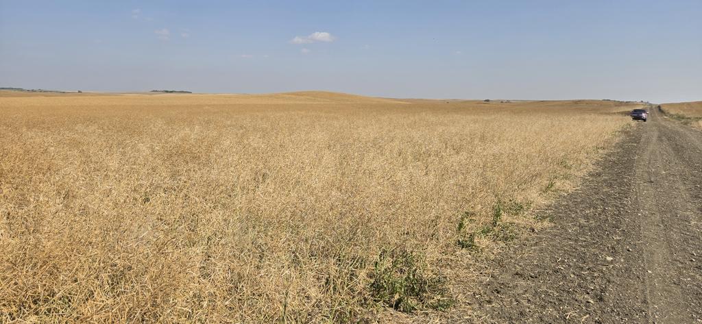 Rob Warkentin tweet media