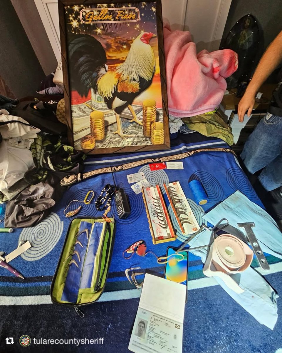 Tulare County Probation Department tweet media