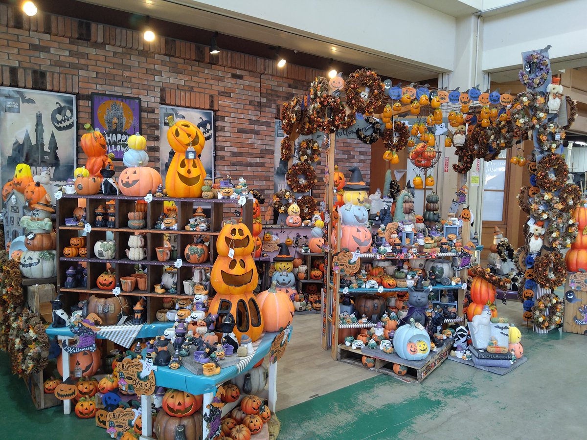 ガーデンセンター新田店】 当店ハロウィンコーナー展開中です！ この