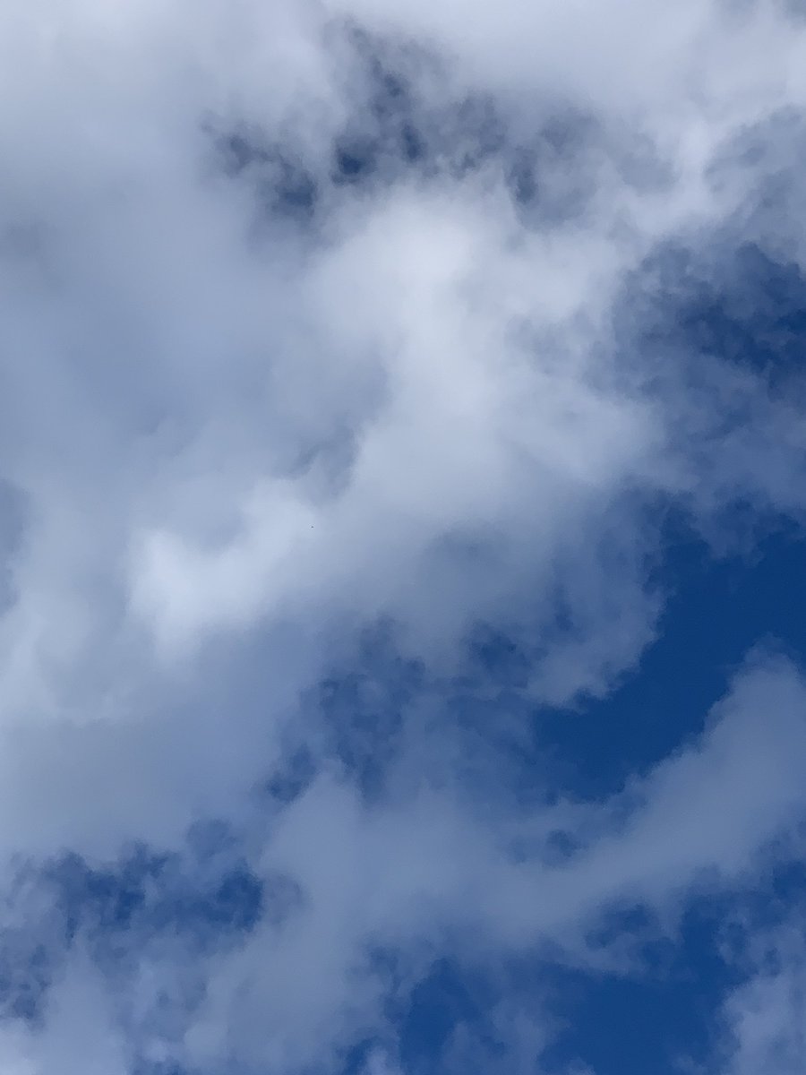 おはふぁぶ(*´꒳`*)ﾉ🐰

10日(水) 三条市 ☁/最高30℃

怖い夢を見た時って、声が出なかったり
全然走れないよね😌
不思議( ･ิω･ิ)

本日ものびのびと٩(ˊᗜˋ*)و
#企業公式が毎朝地元の天気を言い合う