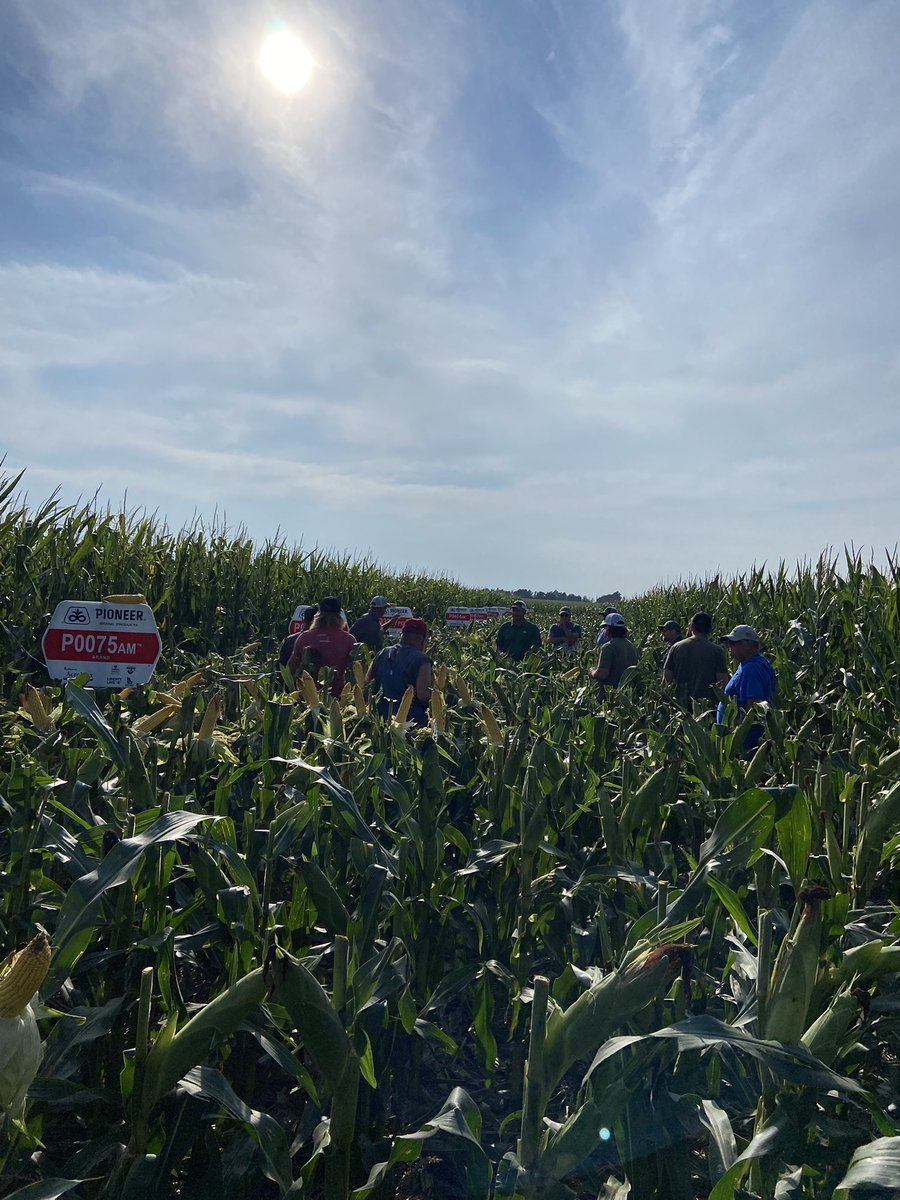 Exceptional dryland plot at Palisade, NE!🌽🌽🌽 #plantpioneer
<a href="/wardynmi/">Mike Wardyn</a> <a href="/PatrickHorwart/">Patrick Horwart</a> <a href="/stevekollmorge1/">stevekollmorgen</a> <a href="/PioneerSeeds/">Pioneer Seeds U.S.</a>