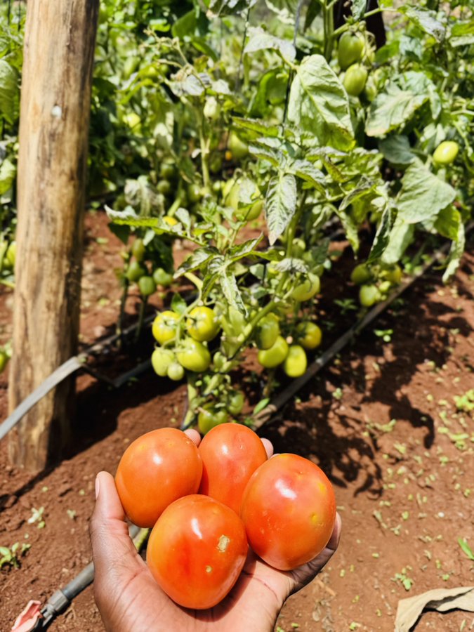 Pk1Gh's tweet image. You are worthy even when you don't feel you are. Don't go by opinions of people.

#LetsGrowTogether 
#4God&amp;amp;Country