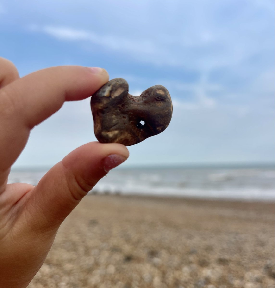 We had Company today 🦭 #wildswimming #beachlife #vitaminsea #PetLevelBeach ♥️ and found a small Sussex #Hagstone #TuesdayTreat