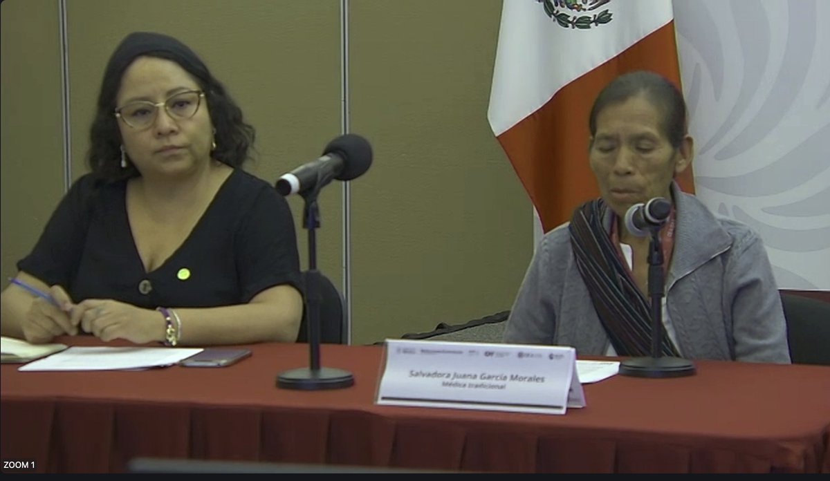 OEA_Derechos's tweet photo. 📹#Ahora en vivo
1era Reunión Ordinaria del Grupo de Trabajo sobre la Implementación de la #DADIN 🇲🇽
Súmate al Conversatorio "Mujeres indígenas y cuidados"
🔗 https://t.co/2phtYBtOpI https://t.co/n1kaJCdh5d