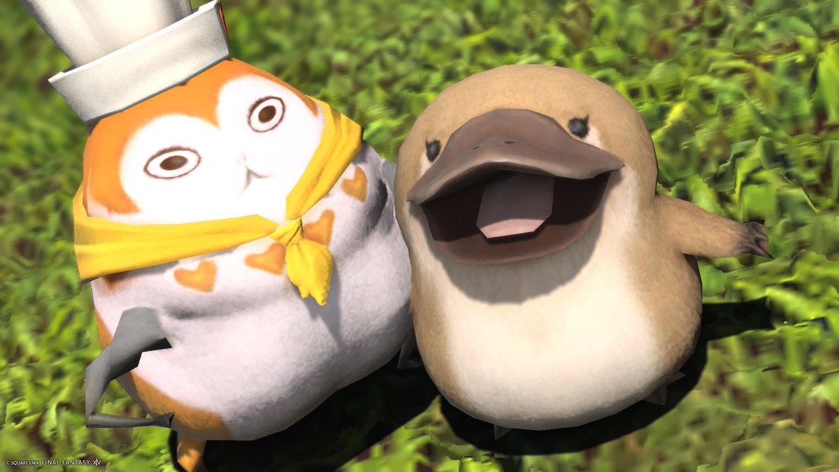 おはようございます☀️