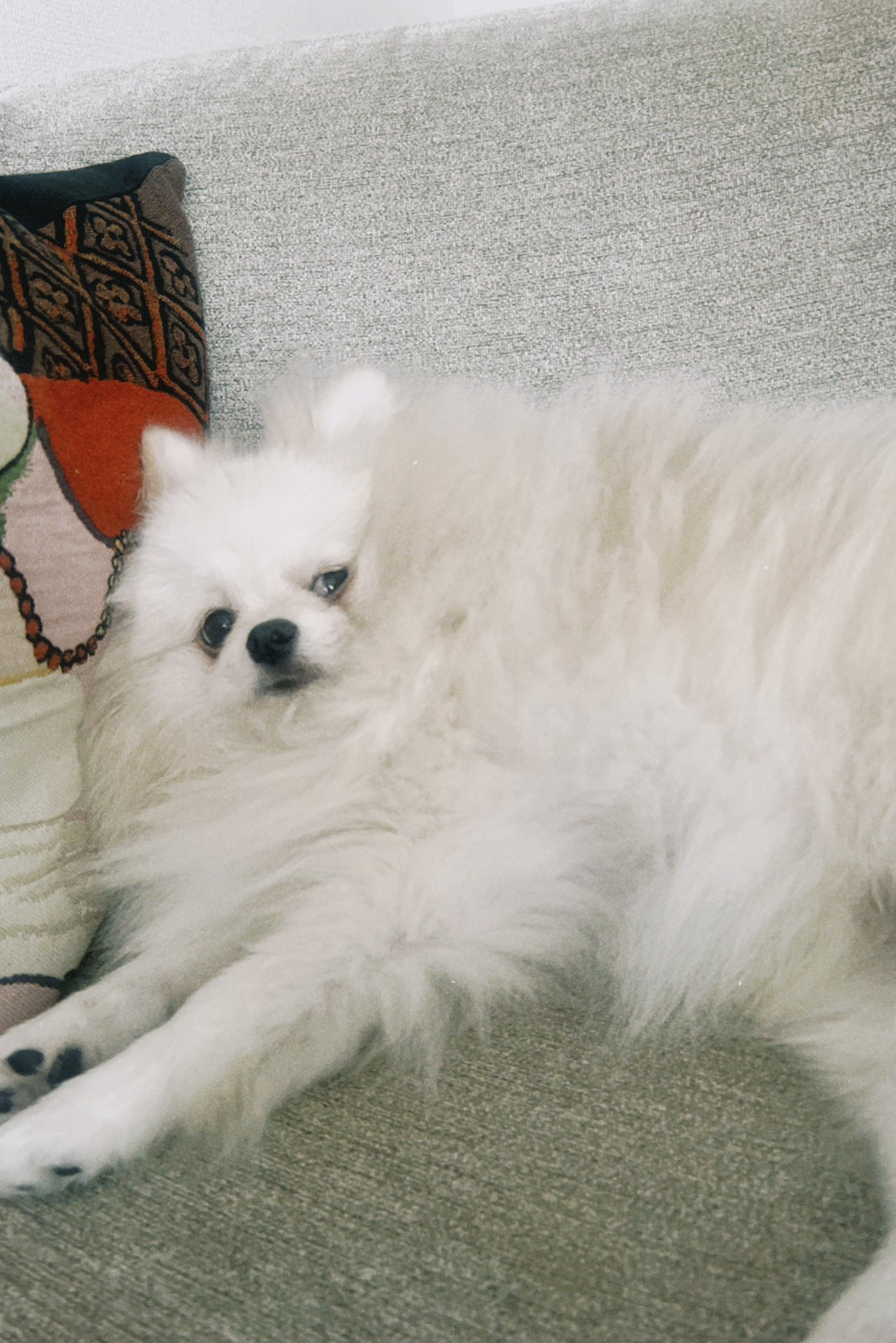 ひろはんぞう 半蔵 悠也 (@hanzou_yuuyan) • Instagram photos