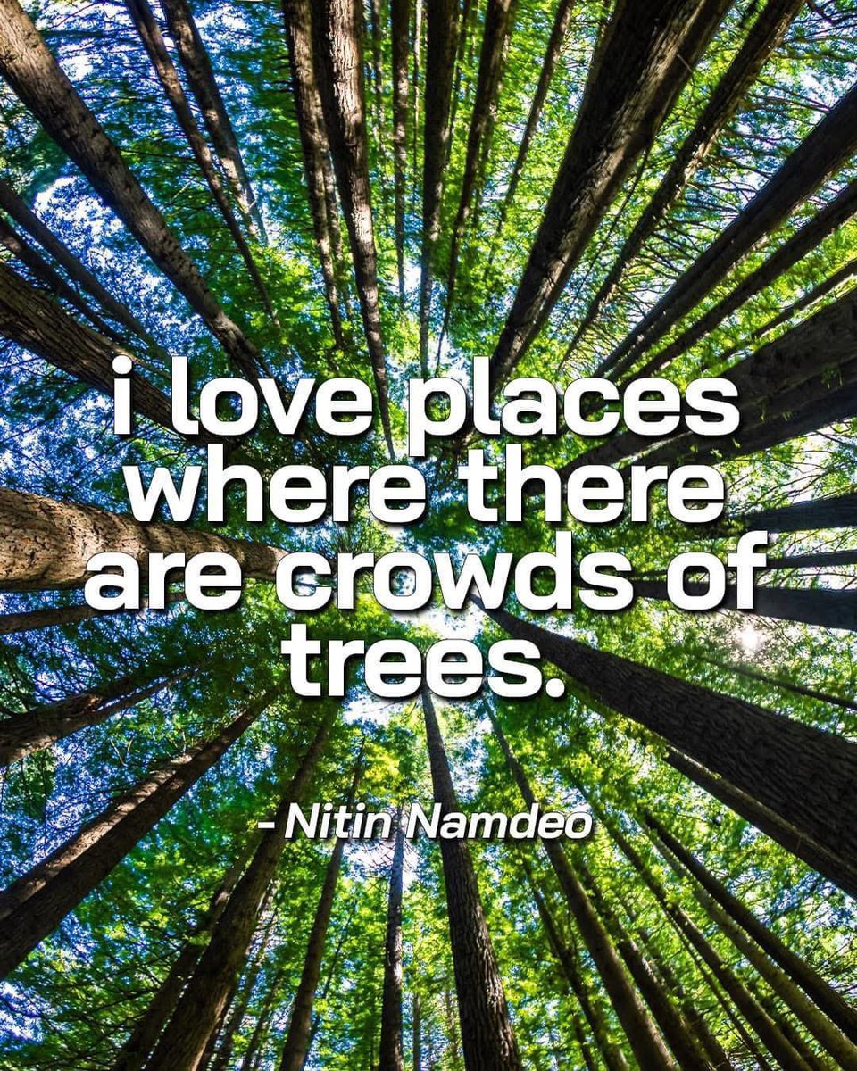 gemstonejcc's tweet image. 🌿🏞️ Travel isn’t just about seeing new places—it’s about breathing differently. Forest air hits different. Who else loves a destination full of green? #WanderInNature #TreeTime #FreshAirFeels