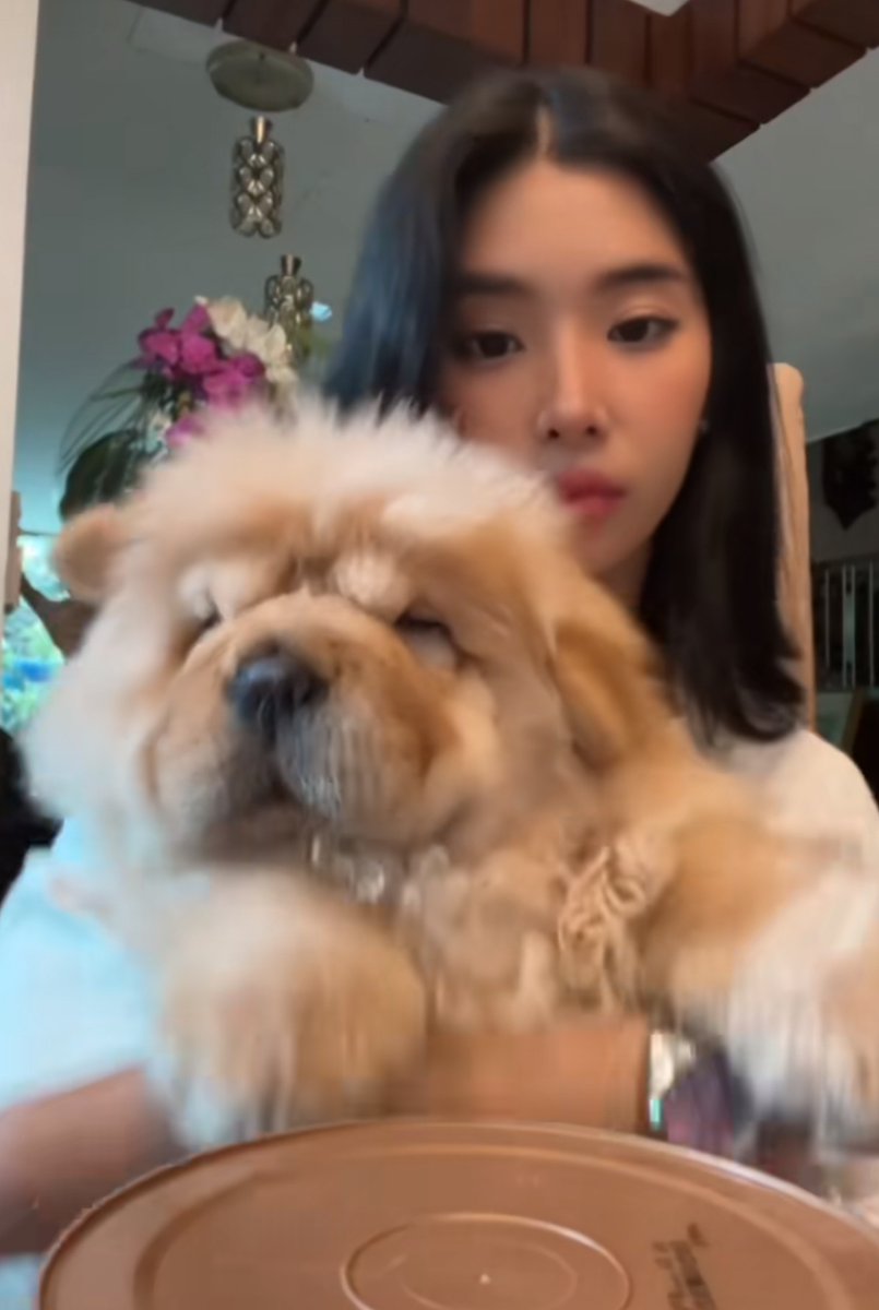 Sophia says that her dog has watched KATSEYE’s GAP commercial, he was very supportive.