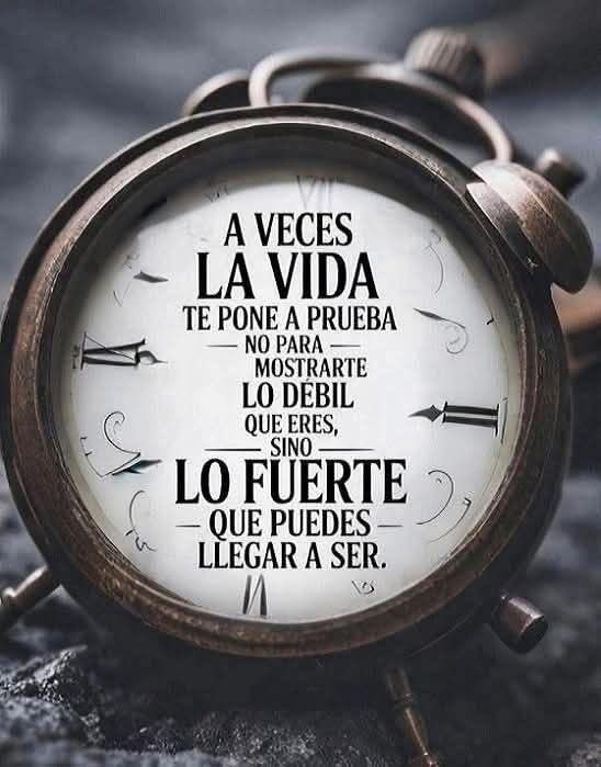 Disciplina (@eligedisciplina) on Twitter photo 