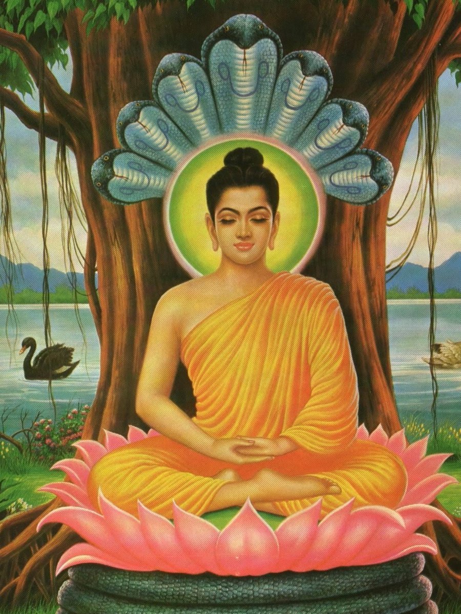 me perguntaram o que eu jogo no celular e eu respondi mahjong e sudoku