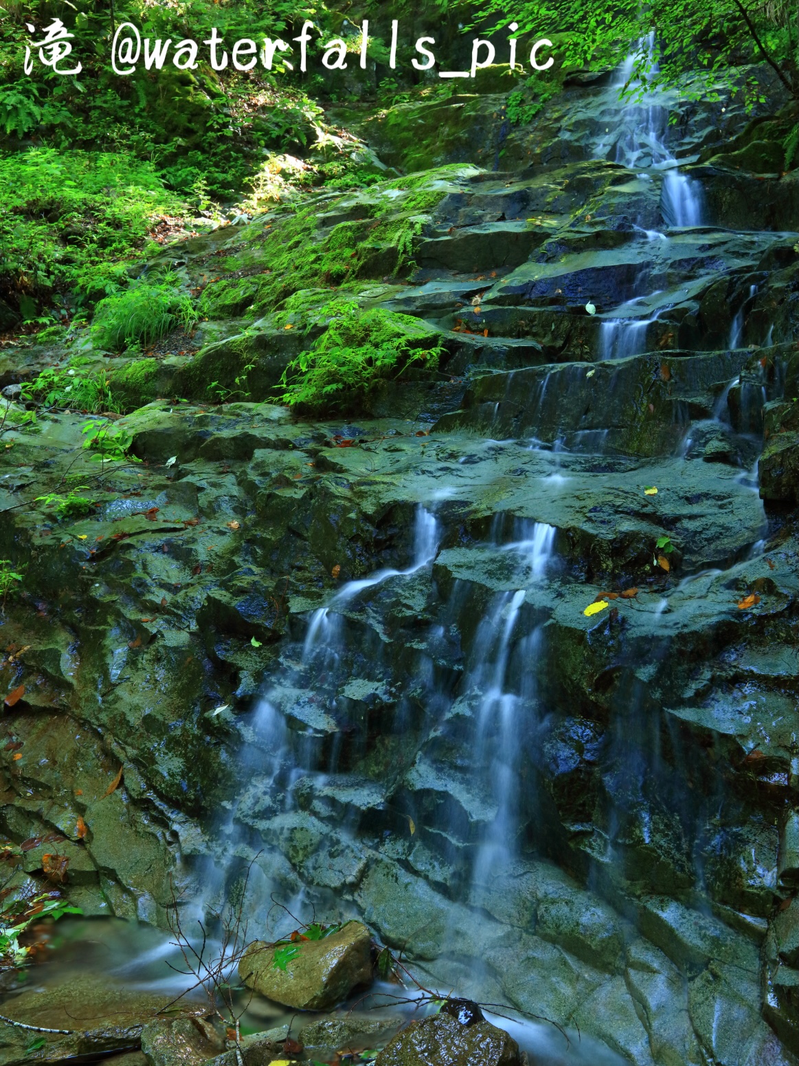 轟音の滝 日本語 3枚セット 轟音の滝 日本語 3枚セット 轟音の滝 日本語 3枚セット