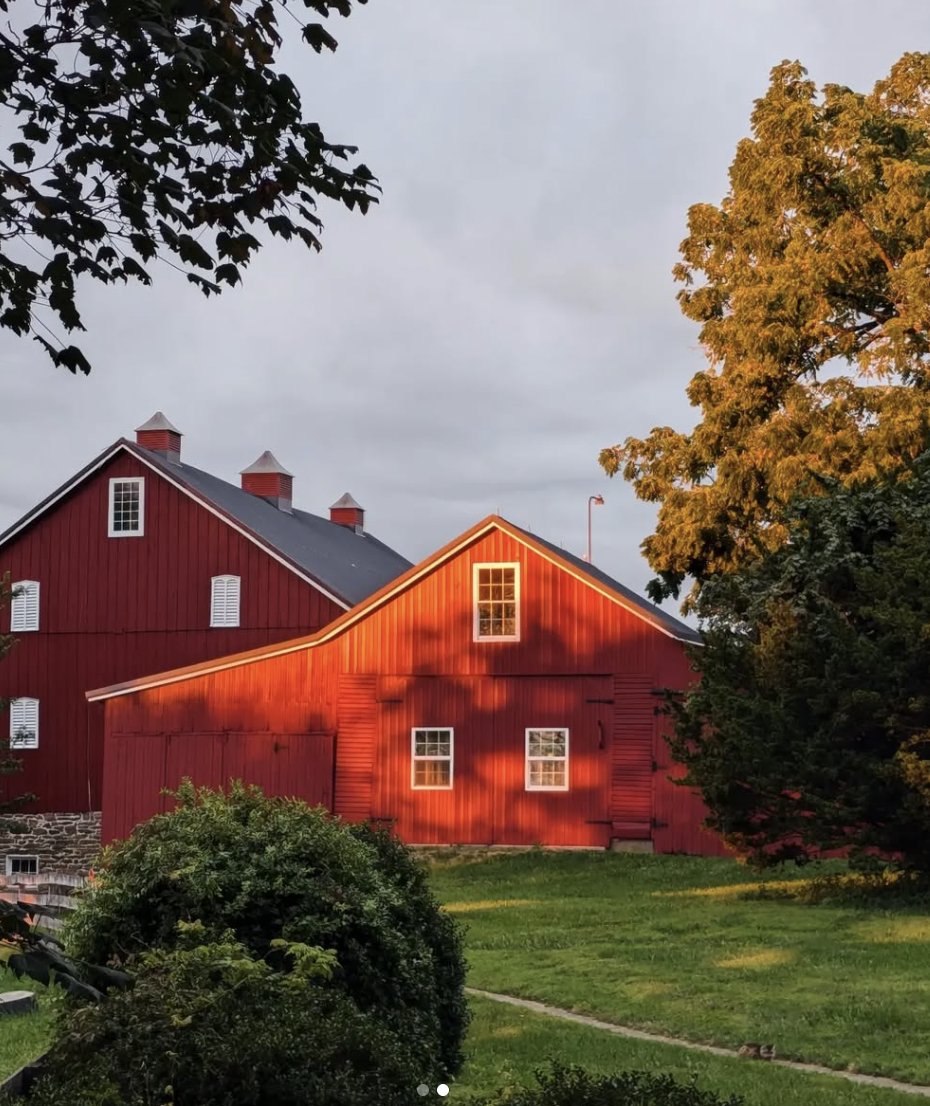 Dr. Julie Gurner tweet media