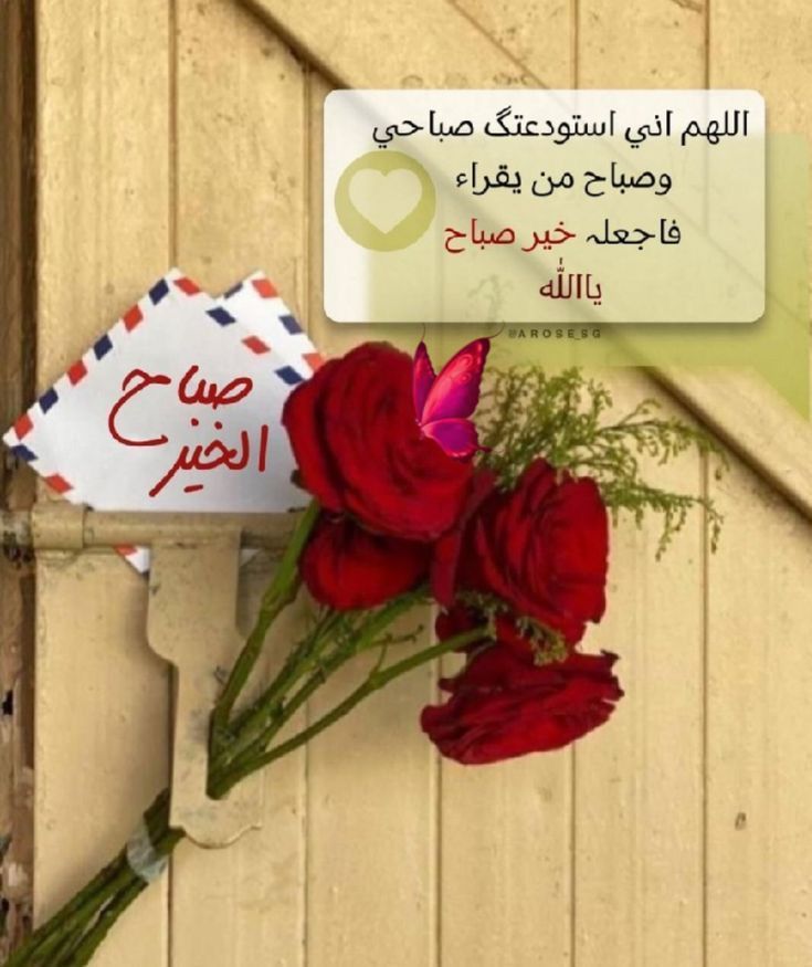 صباح مشرق كنور الشمس الساطعة ملوّن بأجمل انواع الزهور
صباح السعادة والمحبة الصادقة
صباح جميل كجمال نفوسكم الطيبة،،،،،
اللهم بمثل مااضأت الكون بنور شمسك اضئ قلوب احبتي بنور حبك