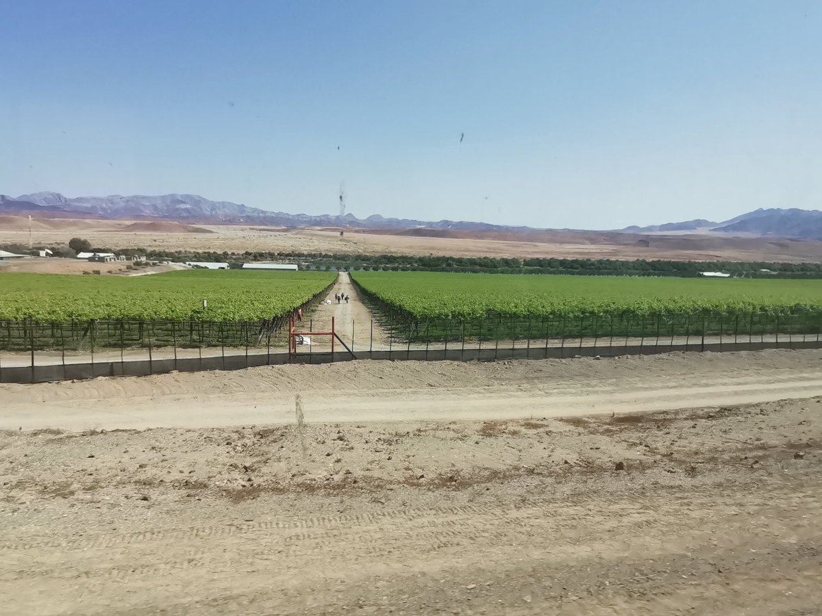 Amaviller tweet media