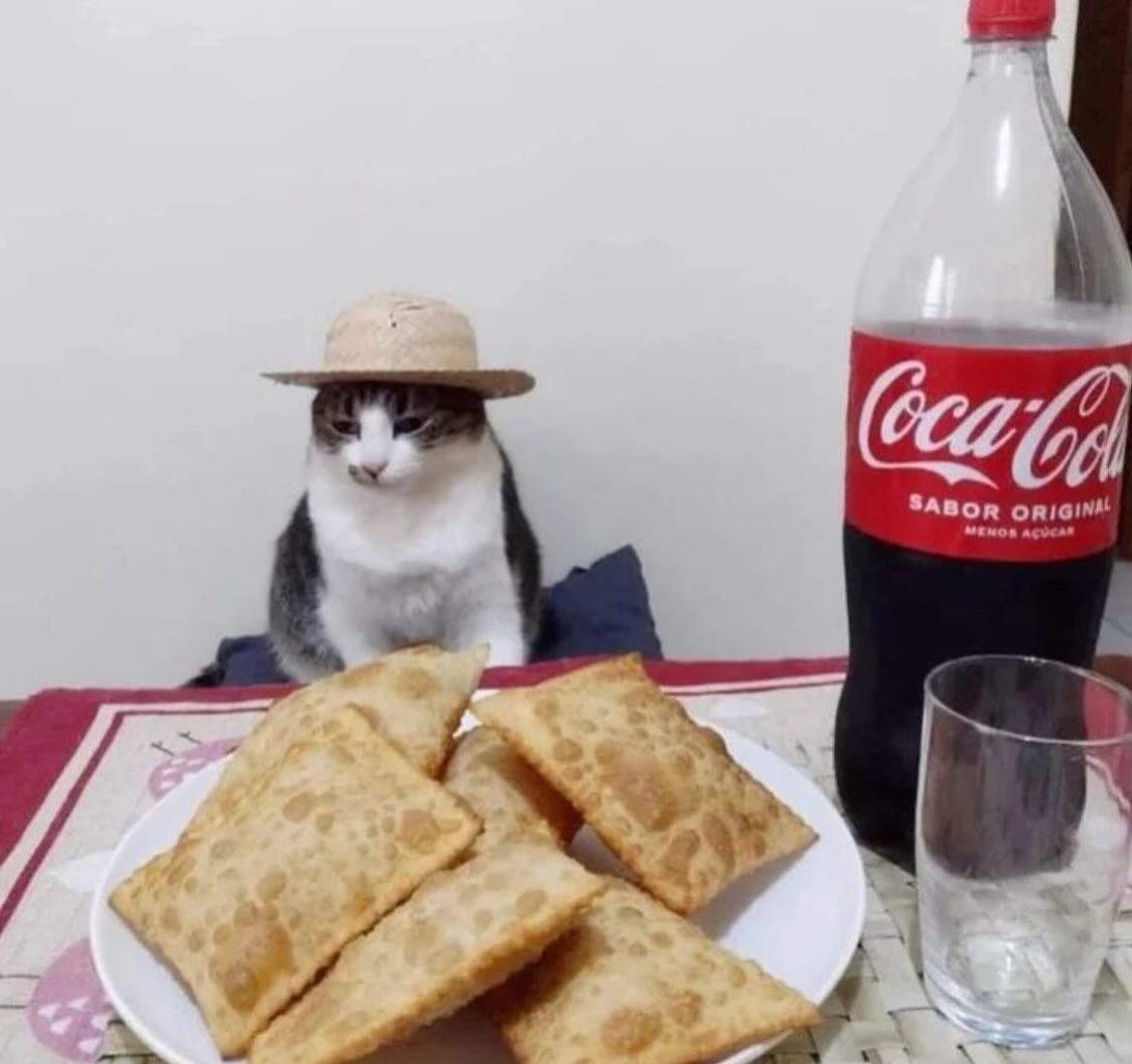 Punch Cat (@punchingcat) on Twitter photo 