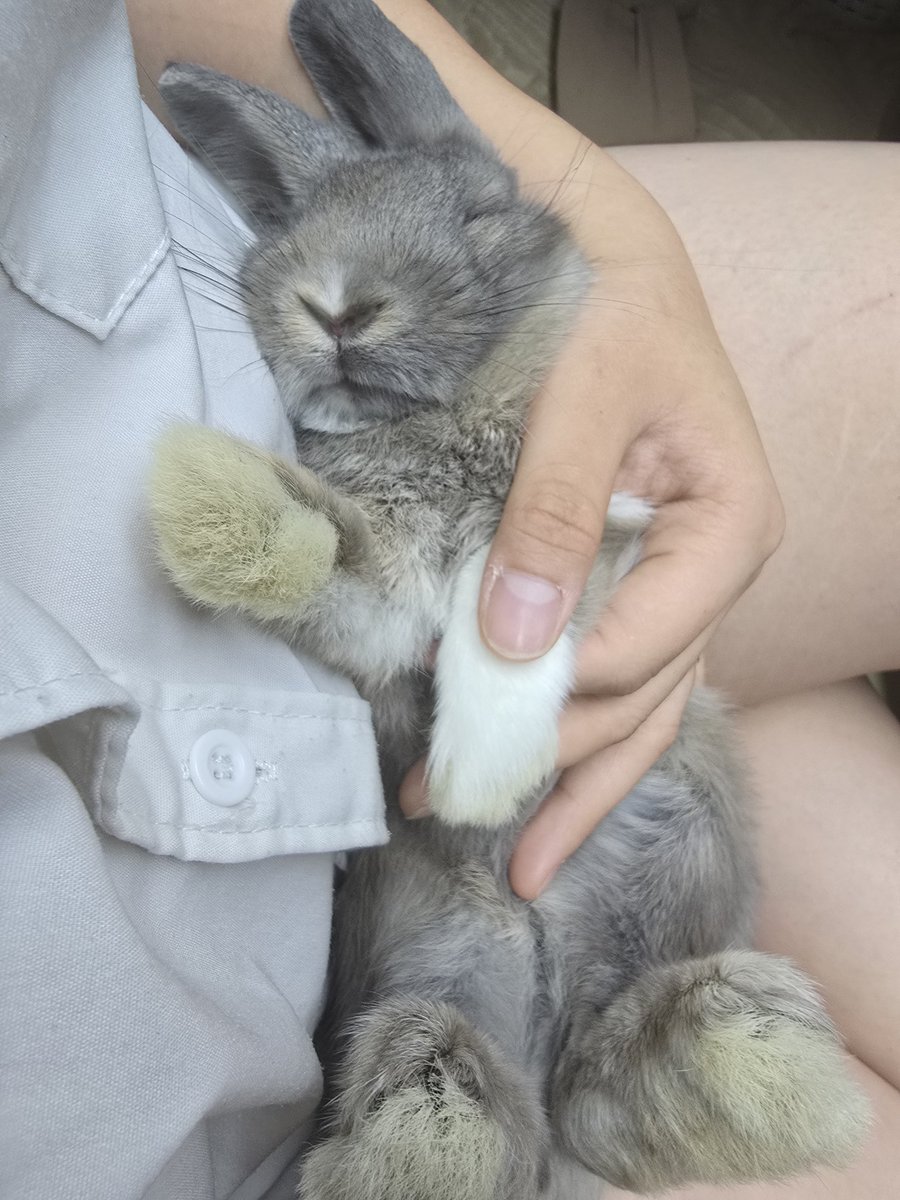 출근전 눈나랑 꽁냥꽁냥 #후추나우