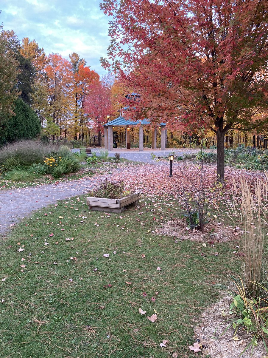 JohnCarzello's tweet photo. Who wants to take a walk here? #RawdonQuebec ❤️ https://t.co/WN3gZBAWDn