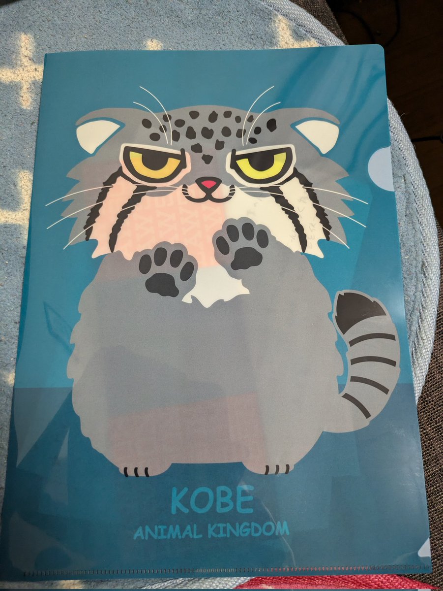 ただいま家出発しまして、正午くらいに東京到着予定です😆🎶

マヌルネコの中にしっかりチケットも入れました🥰
今日ツアー最終日来られる方よろしくお願いします🙏✨✨✨
#SARDUNDERGROUND