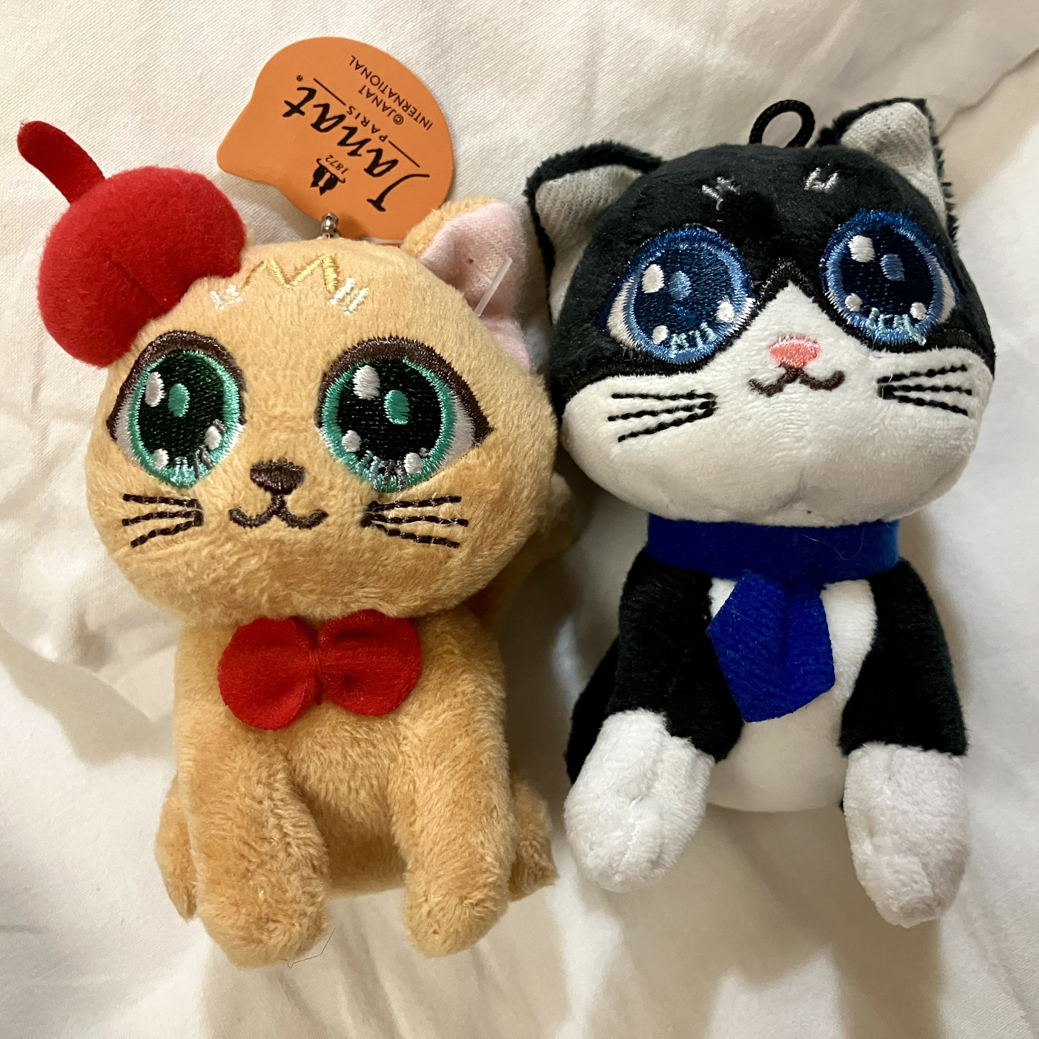 Janat ジャンナッツ 限定缶 ぬいぐるみ エコバッグ 関西万博 フランス館 Janat ジャンナッツ フランス館 大阪関西万博 限定