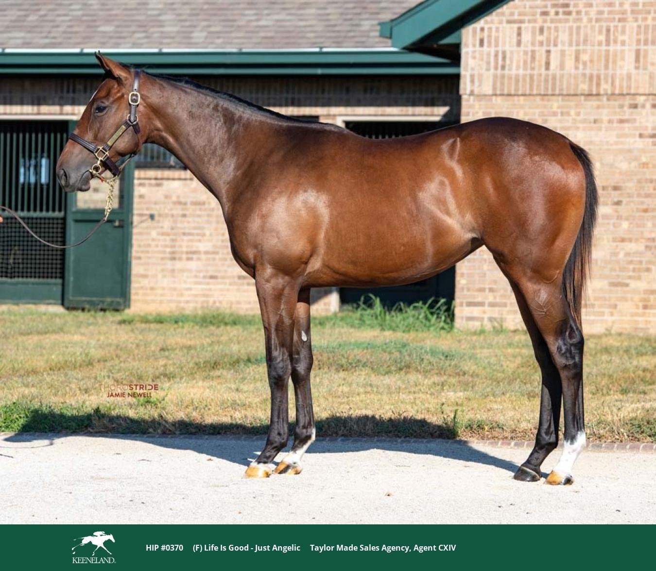 Idol Horse on X: 