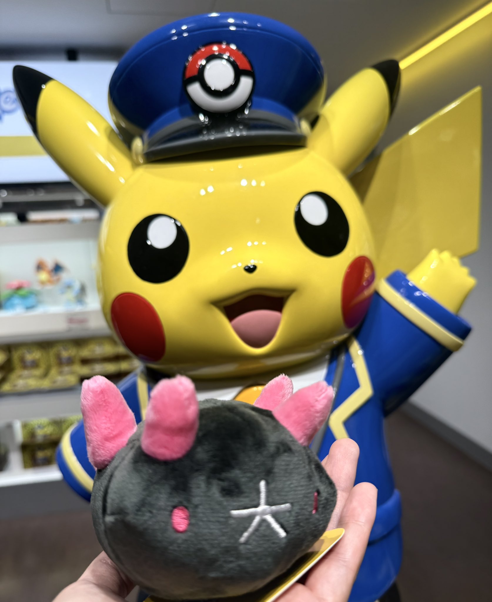 私のナマコブシ ナマコブシ｜『ポケットモンスター サン・ムーン』公式サイト