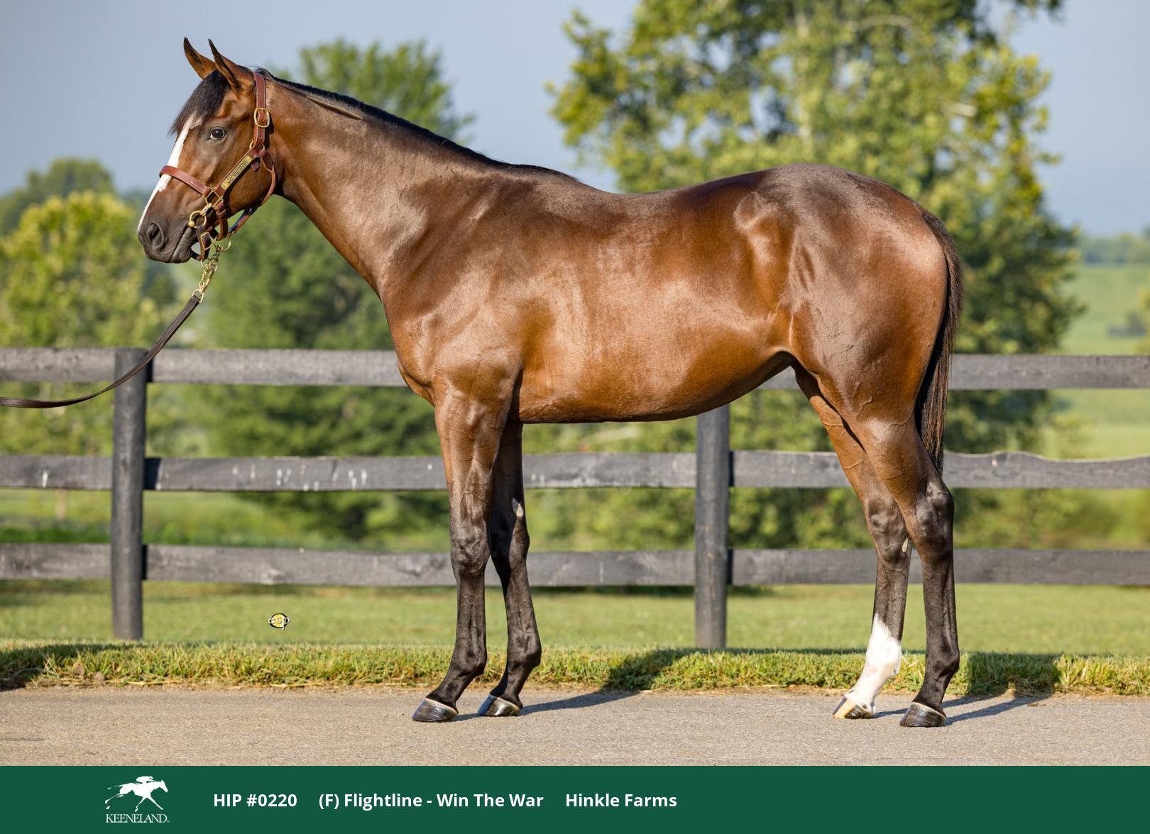 【König】羅馬東京間飛行記念 明治記念館】“唯一無二のモダンクラシックデザインの特別仕様車