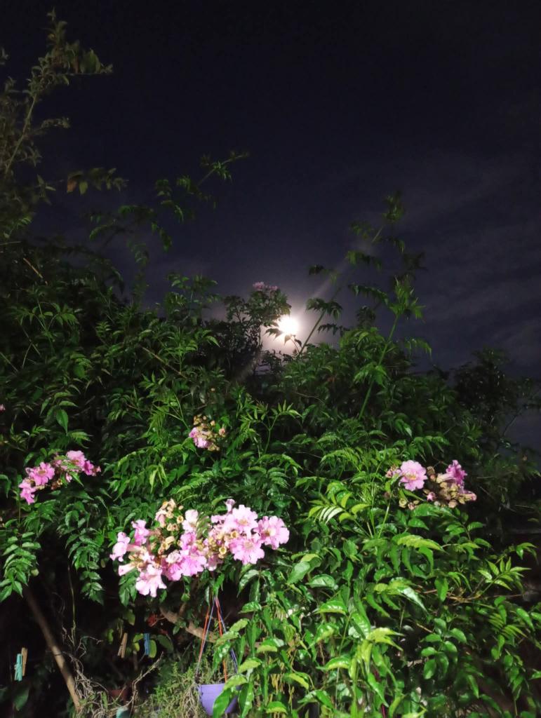 Buenas noches tesoros 💙