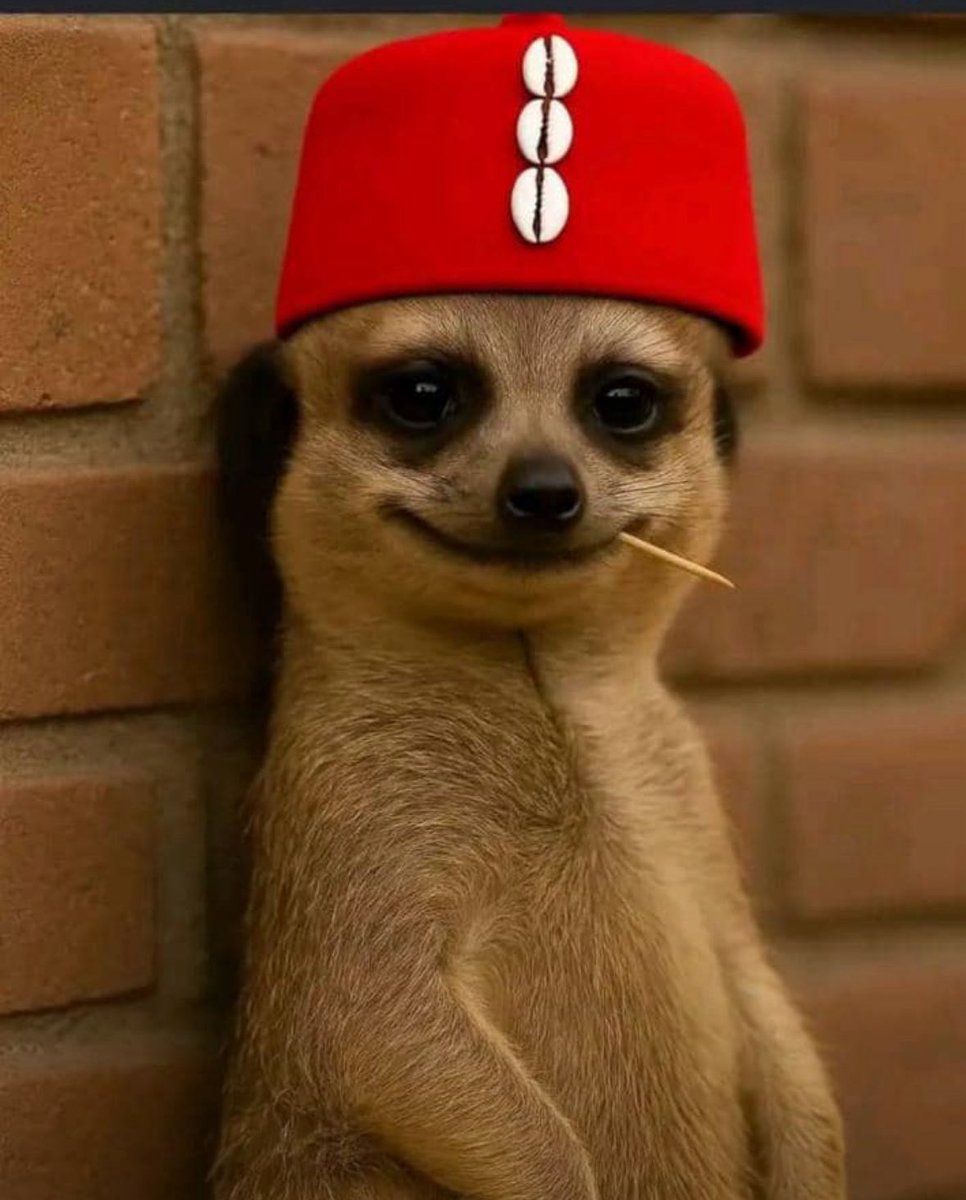 Me watching you announce your launchpad and it’s not <a href="/Mintify/">Mintify</a>