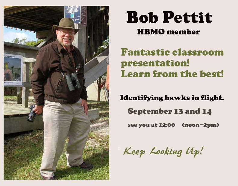 Festival of Hawks this weekend!