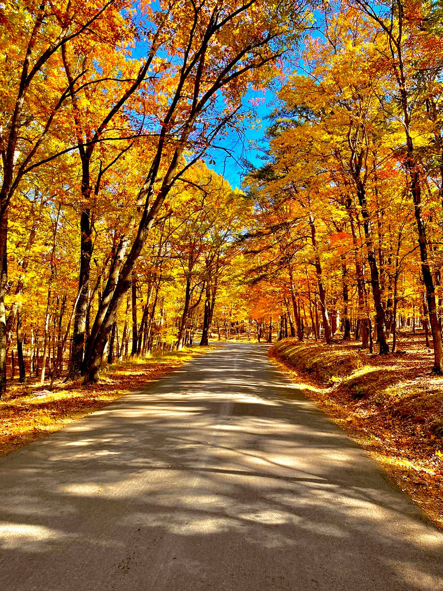 Coolhand tweet media