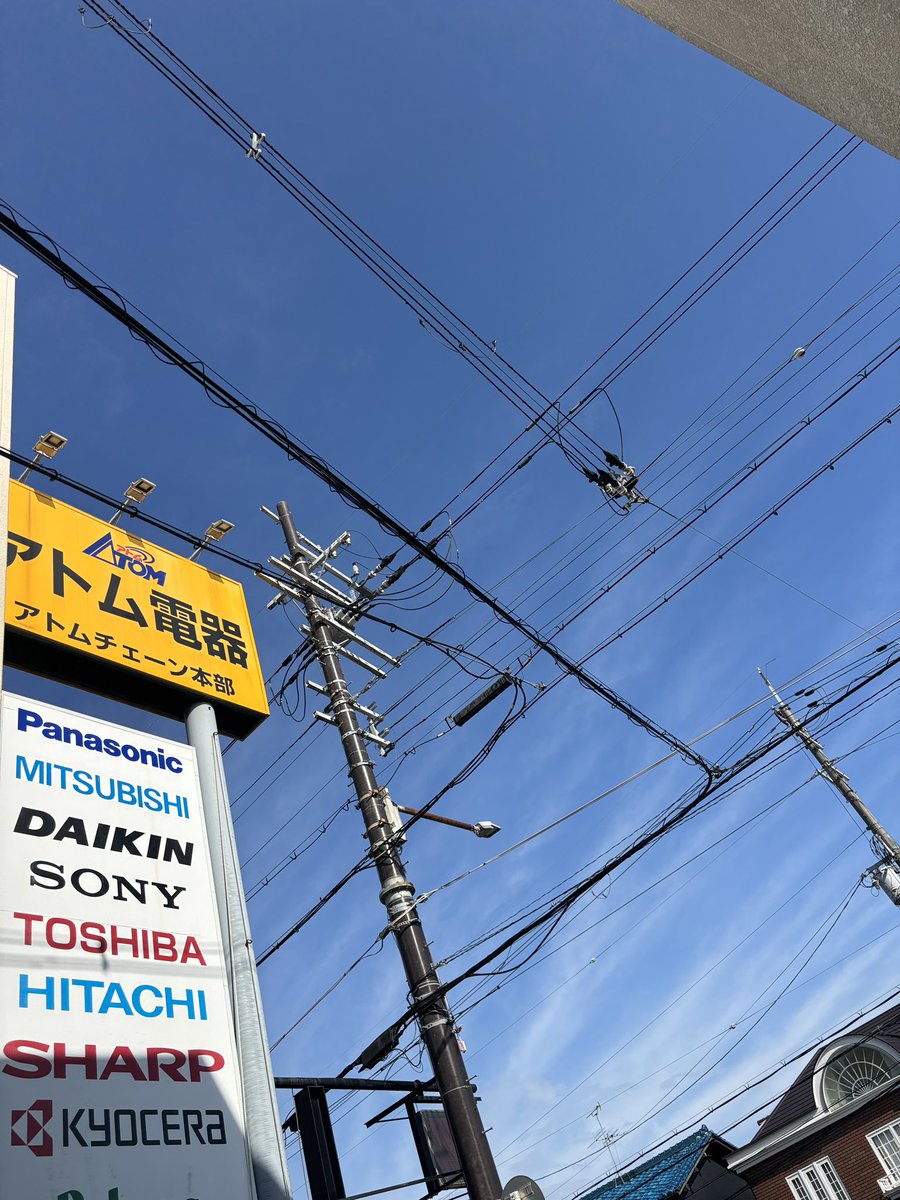 羽曳野は30.2℃本日も最高気温は35℃超えの予想ですが、空には秋の雲、巻雲が浮かんでいます。まだまだ暑い日が続くので水分補給はこまめに行いましょう♡
#企業公式が毎朝地元の天気を言い合う #イマソラ