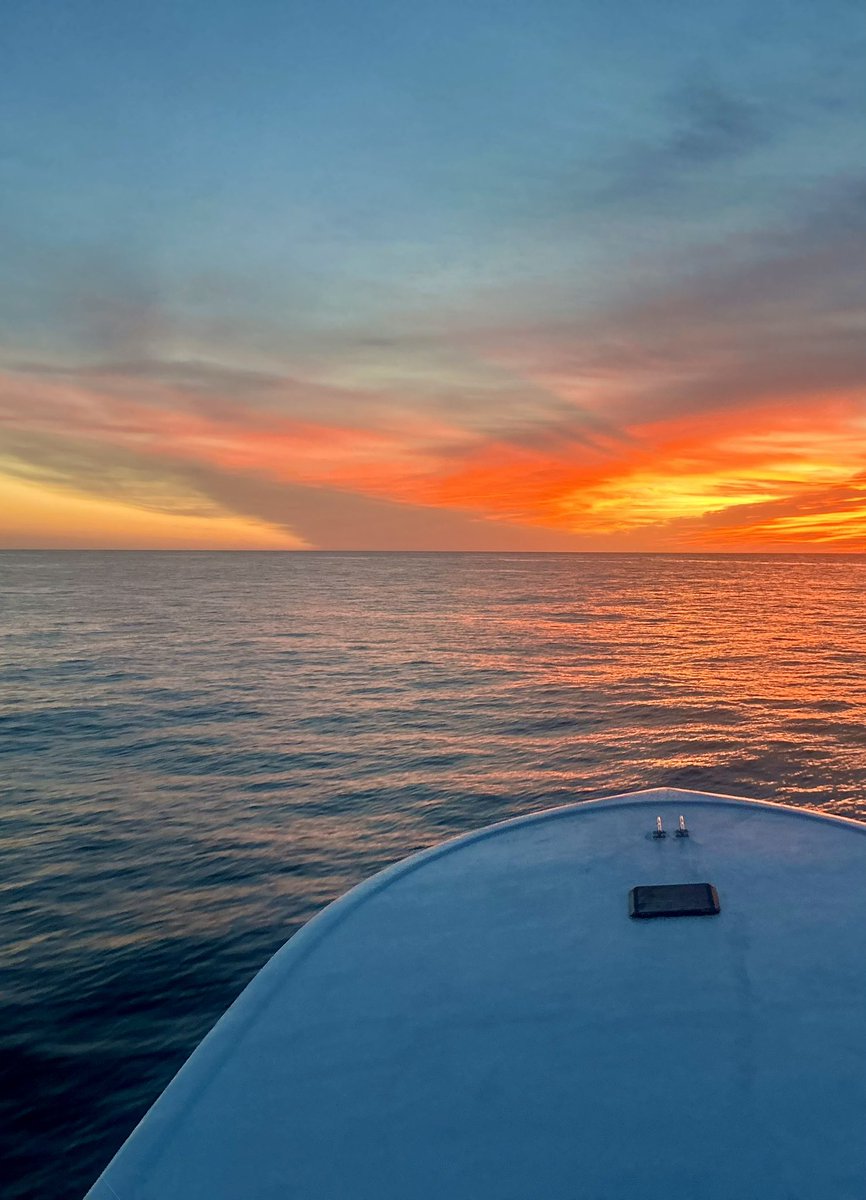 WestWindCharter's tweet photo. On Saturday we had a gorgeous sunrise and a box full of Dolphin. #outerbanksdeepseafishing #westwindcharters #captainolanwest #offshorefishing #dolphinfishing #obxsunrise #sunrise #obx https://t.co/NPIXWzdgsh