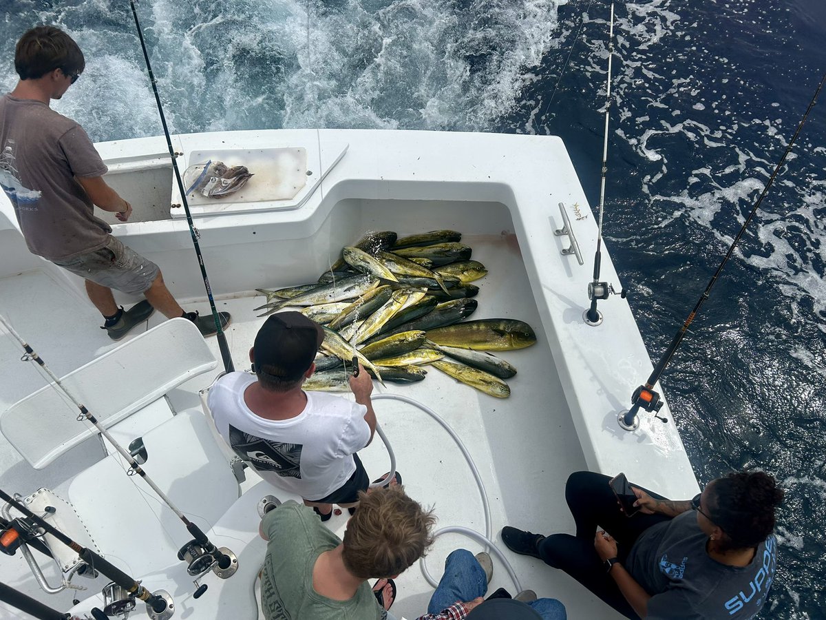 WestWindCharter's tweet photo. On Saturday we had a gorgeous sunrise and a box full of Dolphin. #outerbanksdeepseafishing #westwindcharters #captainolanwest #offshorefishing #dolphinfishing #obxsunrise #sunrise #obx https://t.co/NPIXWzdgsh