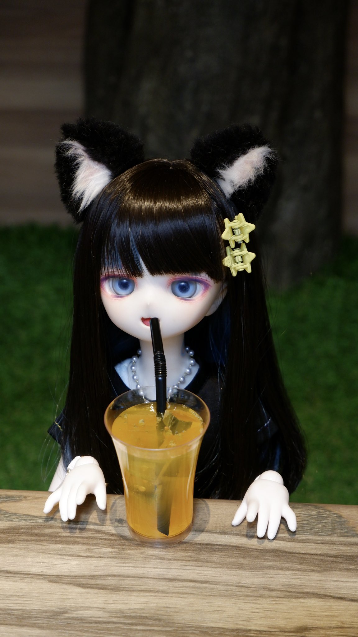 ＠くるみ様♡専用ページ 仲間